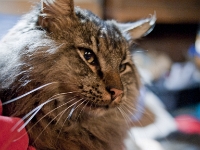 Lisa and Hermes night DS couch P2030447